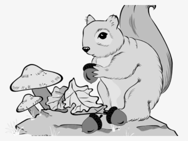 Gray Squirrel Clipart Line Art - Cartoon, HD Png Download, Free Download