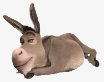 Shrek Donkey Head Png
