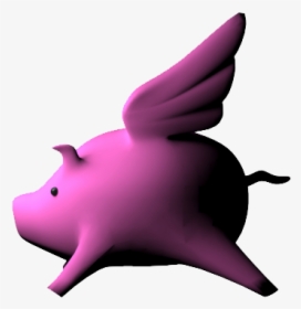 Domestic Pig, HD Png Download, Free Download