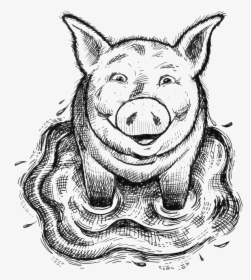 Saxbys Pig In Puddle - Illustration, HD Png Download, Free Download