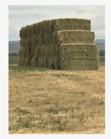 Hay, HD Png Download, Free Download