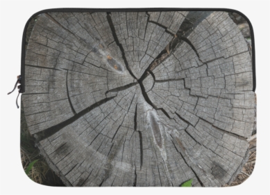 Driftwood , Png Download, Transparent Png, Free Download