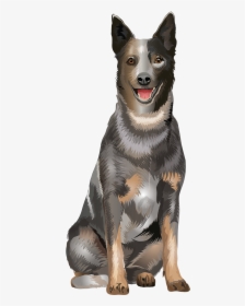 Dogs Vector Canine - Australian Cattle Dog Vector, HD Png Download, Free Download
