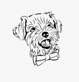 Schnoodle, HD Png Download, Free Download