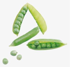 Now You Can Download Pea Png Picture, Transparent Png, Free Download
