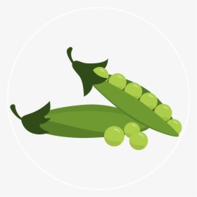 Pea-icon - Illustration, HD Png Download, Free Download