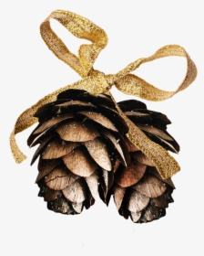 #pinecone #pinecones #gold #festive #winter Op Courtesy - Shortstraw Pine, HD Png Download, Free Download