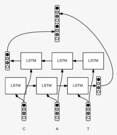 Character Embeddings - Bi Lstm, HD Png Download, Free Download