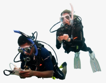 Padi Advanced Open Water Diver - Underwater Diving, HD Png Download, Free Download