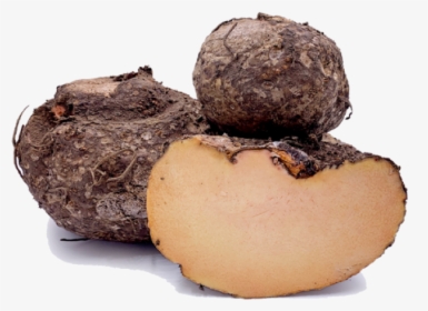 Yam/ Suran / Kandagadda - Suran Vegetable, HD Png Download, Free Download