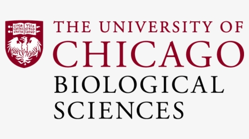 University Of Chicago Png - University Of Chicago, Transparent Png, Free Download