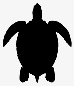 Silhouette Sea Turtle Vector, HD Png Download, Free Download