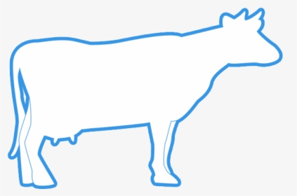 Cattle Clipart Qurbani - Dairy Cow, HD Png Download, Free Download