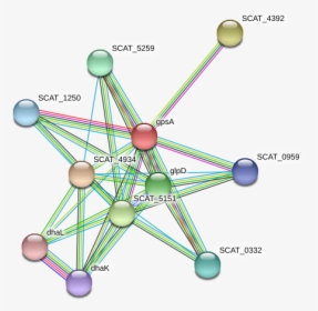 Gpsa Protein - Circle, HD Png Download, Free Download