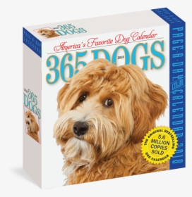 365 Dogs Page A Day 2018 Calendar, HD Png Download, Free Download