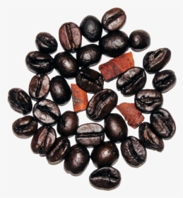 Cocoa Bean, HD Png Download, Free Download