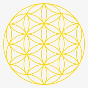 Beautiful Yellow - Flower Of Life Png, Transparent Png, Free Download