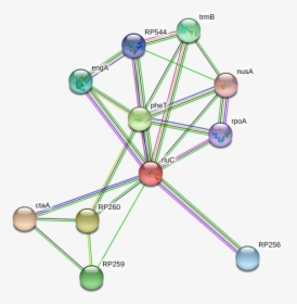 Rluc Protein - Circle, HD Png Download, Free Download
