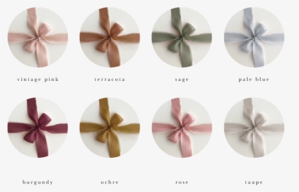 Wedding Invitations Ribbon Colors - Sand Dollar, HD Png Download, Free Download