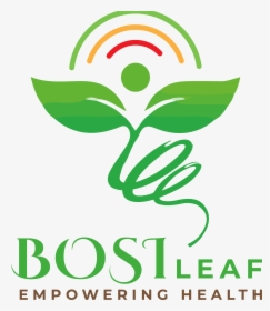 Bosi Leaf, HD Png Download, Free Download