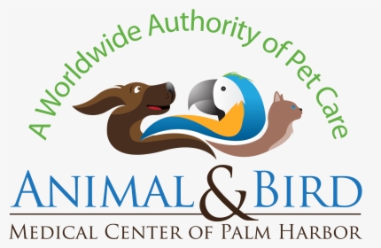 Animal And Bird Medical Center - Graphic Design, HD Png Download, Free Download