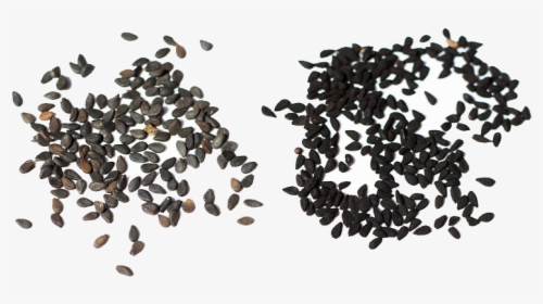 Seeds - Nigella Seeds Vs Black Sesame, HD Png Download, Free Download