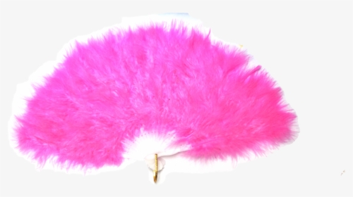 Dsc02794, HD Png Download, Free Download