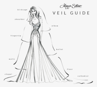 Wedding Veil Types, HD Png Download, Free Download