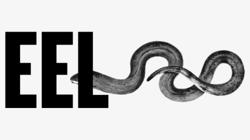 Eel Logo Large - Smooth Earth Snake, HD Png Download, Free Download