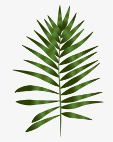 The Niki Whiting - Fern Art Png, Transparent Png, Free Download