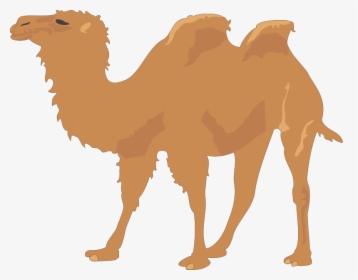 Free Vector Camel - Camel Clip Art Png, Transparent Png, Free Download