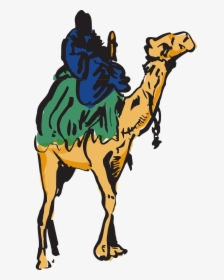Camel Man Riding Free Photo - Cama Camel Transparent, HD Png Download, Free Download