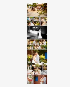 Wedding Flower Bokeh Png, Transparent Png, Free Download