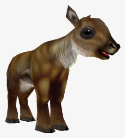 Download Zip Archive - Zoo Tycoon 2 Caribou, HD Png Download, Free Download