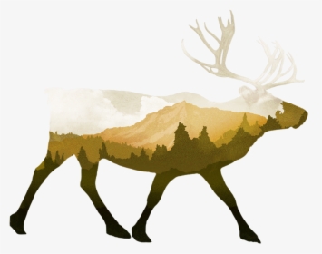 Barren Ground Caribou, HD Png Download, Free Download