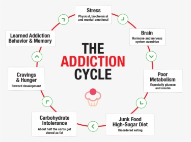 Addiction-cycle - Vicious Cycle Of Addiction, HD Png Download, Free Download