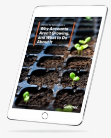 Iphone, HD Png Download, Free Download