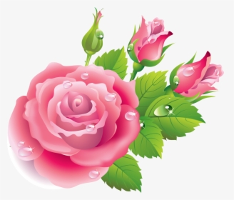 Floribunda, HD Png Download, Free Download