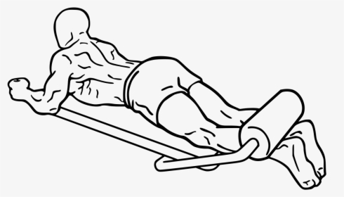 Lying Leg Curl Diagram, HD Png Download, Free Download