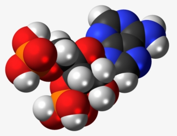 Molecular Structure Png Hd - Adenosine Monophosphate Model, Transparent Png, Free Download
