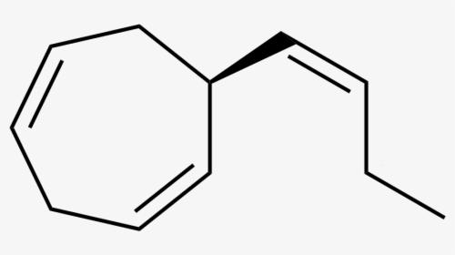 Ectocarpene Structure - Tan, HD Png Download, Free Download