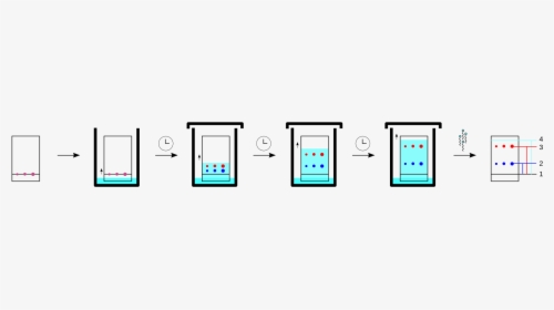 Thin Layer Chromatography In Detection Of Drugs, HD Png Download, Free Download