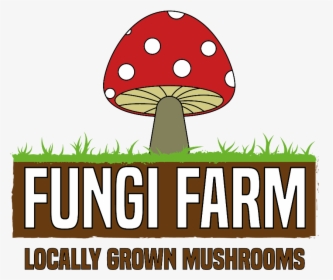 Shiitake, HD Png Download, Free Download