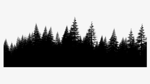 Transparent Forest Clipart Backgrounds - Pine Forest Png, Png Download, Free Download