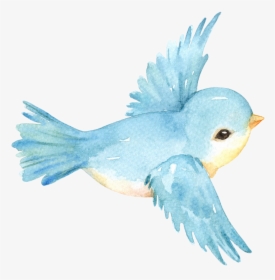 Transparent Blue Birds Png - Bird Png Watercolor, Png Download, Free Download