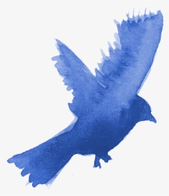 Bluebird, HD Png Download, Free Download