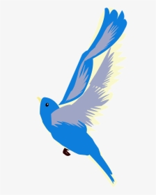 Transparent Blue Birds Png - Mountain Bluebird, Png Download, Free Download