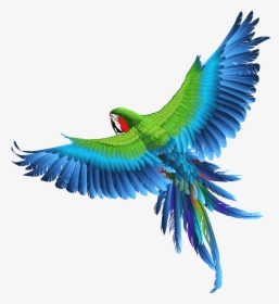 Transparent Parrot Clipart Picture - Transparent Background Bird Png Hd, Png Download, Free Download