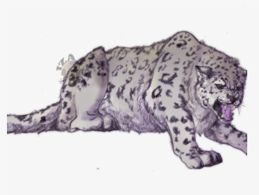 Snow Leopard Digital Drawing, HD Png Download, Free Download