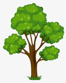Tree Png Transparent Images - Transparent Background Tree Clipart, Png Download, Free Download